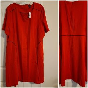 The Limited Plus Size Dress